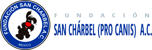 Fundación San Charbel - Adopta una mascota